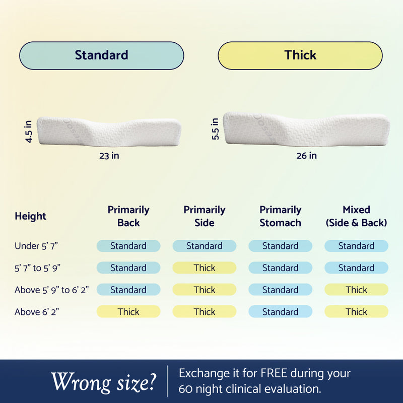 Fits Your Body — Standard & Thick Heights