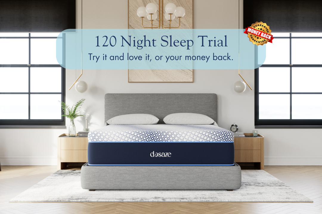 マットレス Dysphasia Dosaze DreamAlign Pro Back Relief Mattress