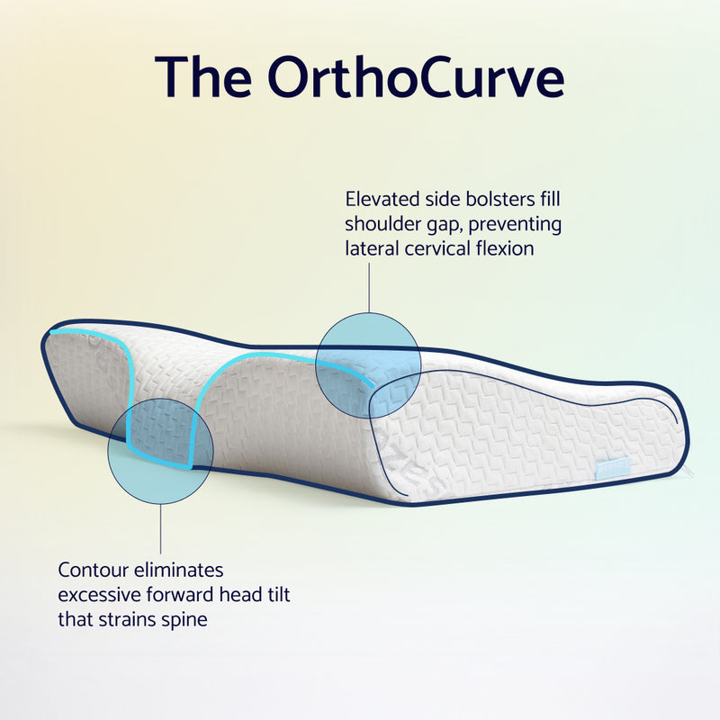 Cradles Your Neck's Natural Curve