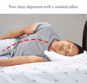 Alignment Kit: Contoured Orthopedic Pillow + Wedge Pillow – Dosaze